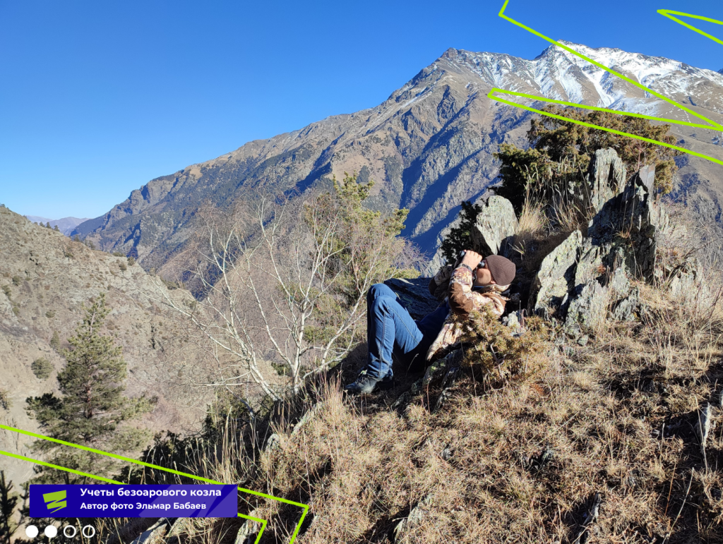 Плашки для видео (35).png