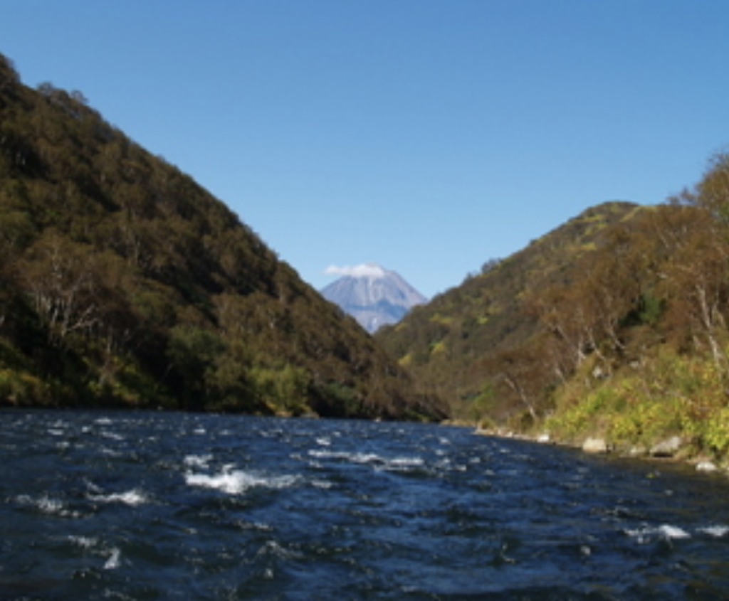 Снимок экрана 2023-08-21 в 14.17.00.png