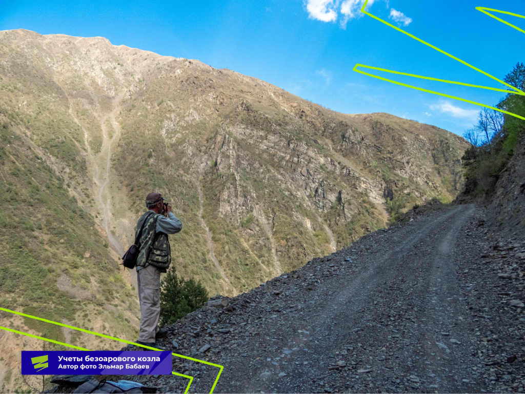 Плашки для видео (36).png