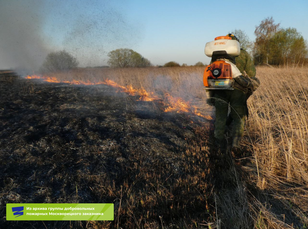 Плашки для видео (3).png
