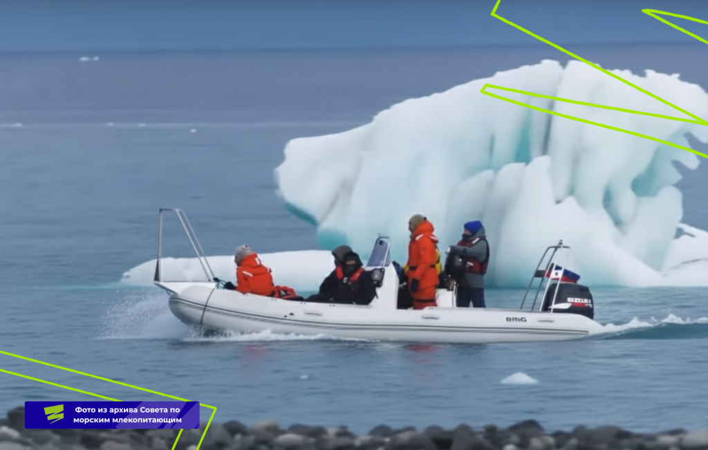 Плашки для видео (11).png