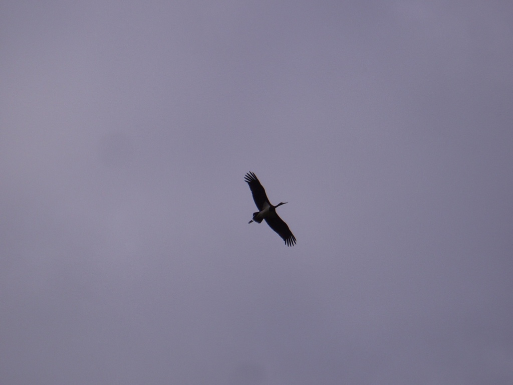 yvExhfQtnl1h6RolbM8P7Lh7co7kR4FFGdJA3dx8xTHTpD6KtSYtAKYR-9NTR-lLrhi71-g0.jpg yvExhfQtnl1h6RolbM8P7Lh7co7kR4FFGdJA3dx8xTHTpD6KtSYtAKYR-9NTR-lLrhi71-g0.jpg