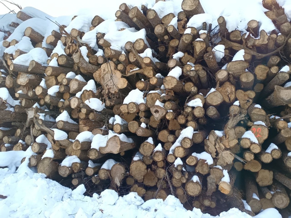 5472218755711570234 (3).jpg