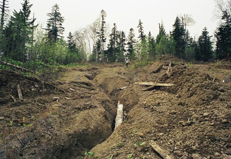 Рисунок11.jpg