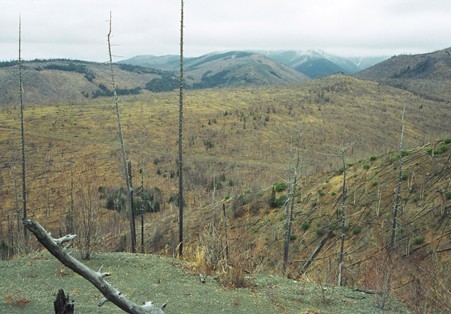 Рисунок8.jpg